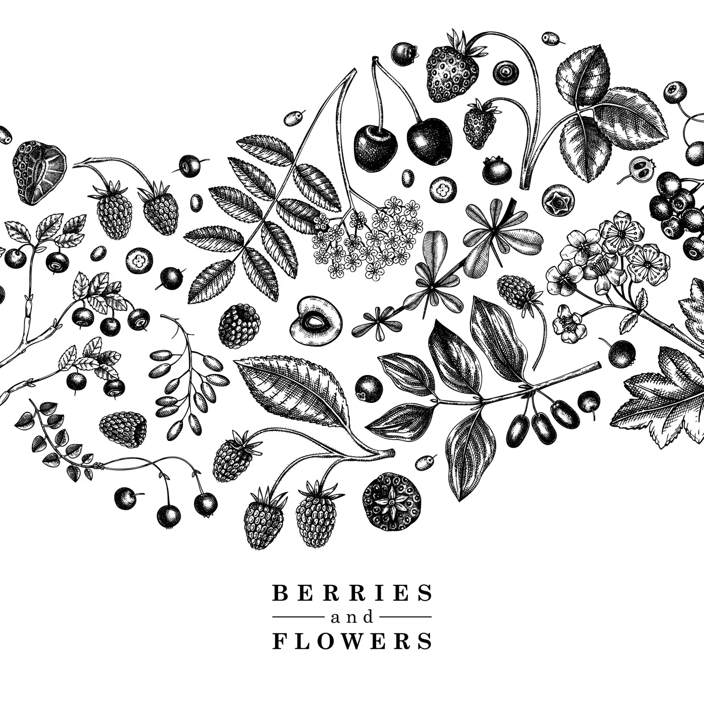 Wild berries card or invitation sketched style. Hand drawn fruits and flowers vector frame design. Vintage forest plants sketch. Summer berries - strawberry, raspberry, bilberry, blackberry, cherry.  Illustration